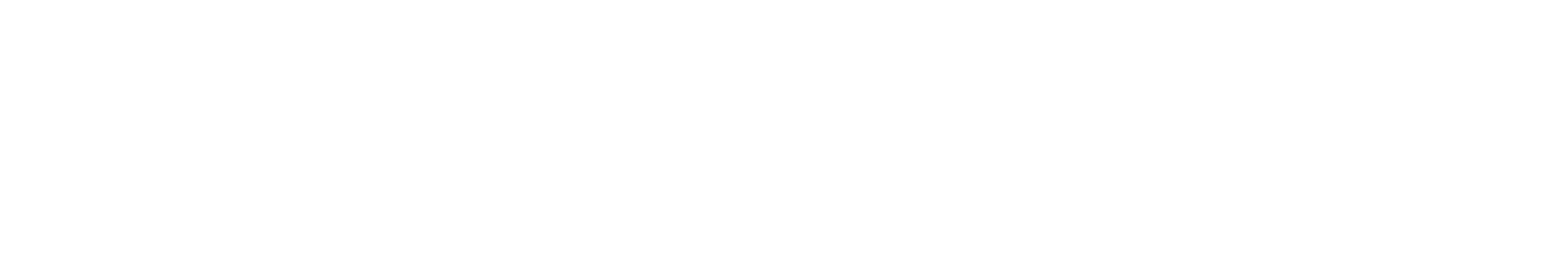 Estrategia MIC